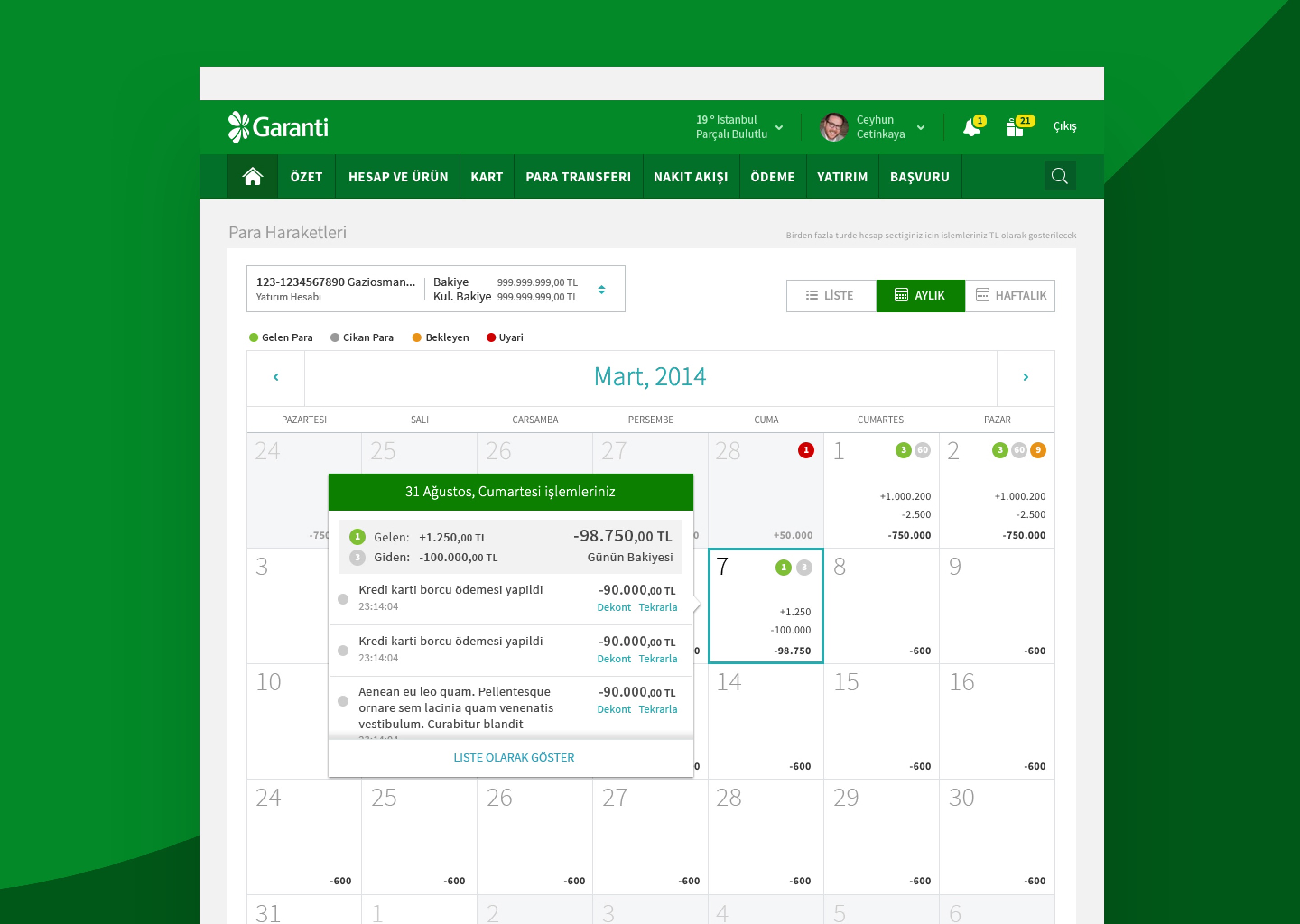 Calendar view showing a month-long grid with daily totals and hover-revealed transaction detail